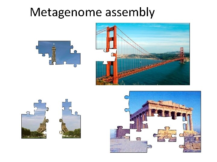 Metagenome assembly 