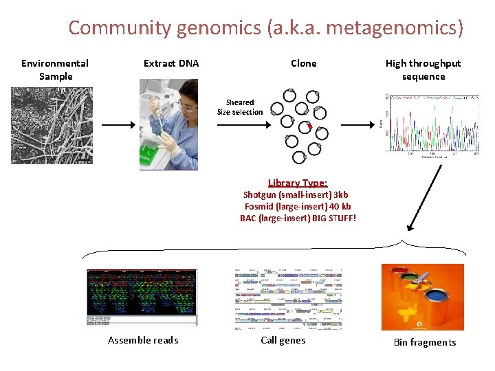 Community genomics (a. k. a. metagenomics) Environmental Sample Extract DNA Clone High throughput sequence