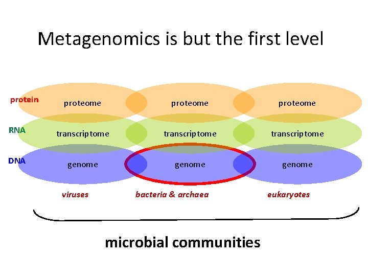 Metagenomics is but the first level protein proteome RNA transcriptome DNA genome viruses bacteria