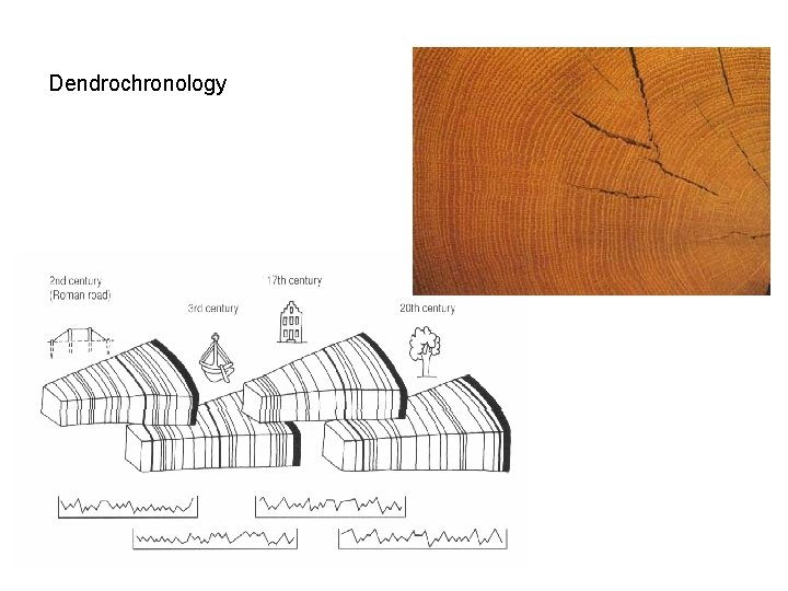 Dendrochronology Dendrochronology