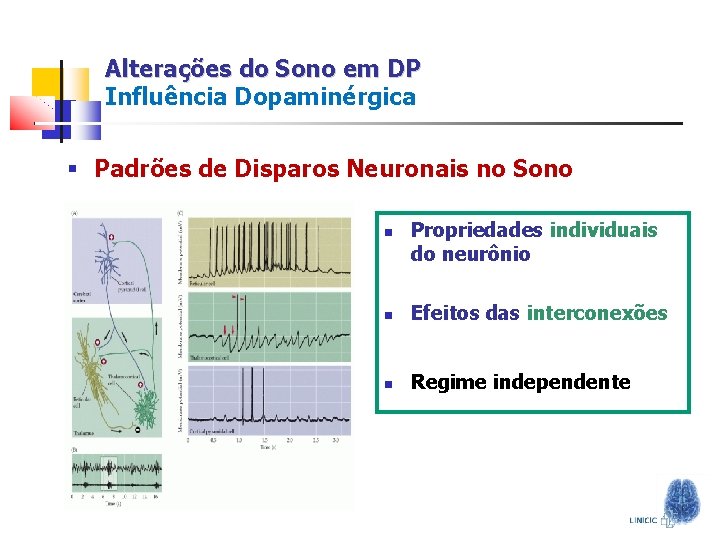 Alterações do Sono em DP Influência Dopaminérgica § Padrões de Disparos Neuronais no Sono