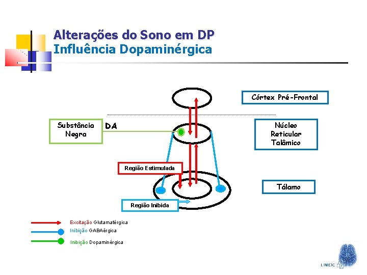 Alterações do Sono em DP Influência Dopaminérgica Córtex Pré-Frontal Substância Negra DA Núcleo Reticular