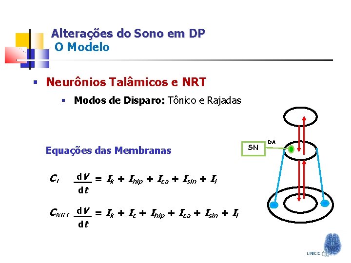 Alterações do Sono em DP O Modelo § Neurônios Talâmicos e NRT § Modos