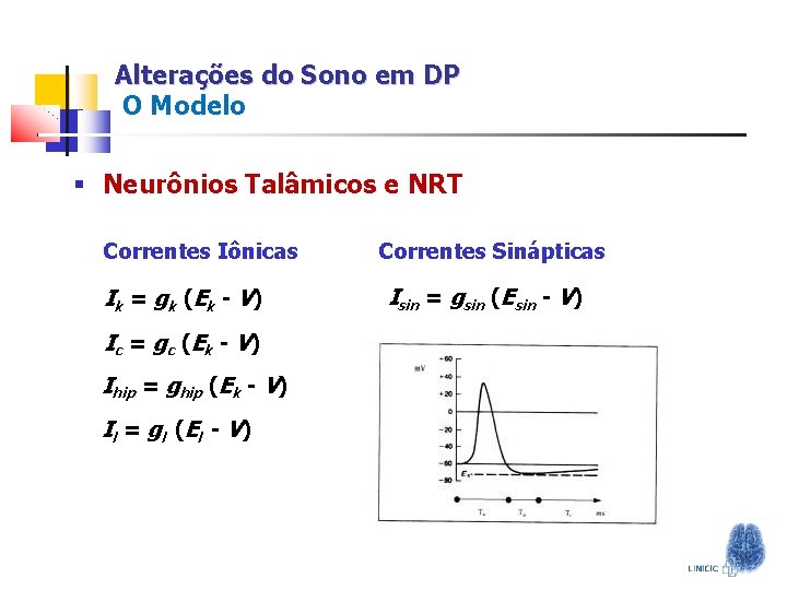 Alterações do Sono em DP O Modelo § Neurônios Talâmicos e NRT Correntes Iônicas