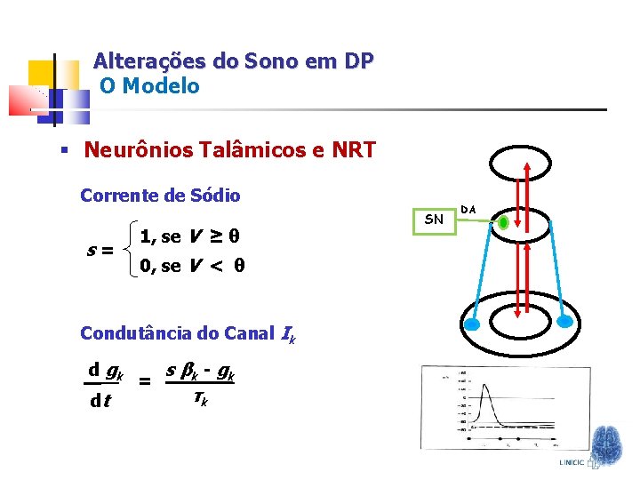 Alterações do Sono em DP O Modelo § Neurônios Talâmicos e NRT Corrente de