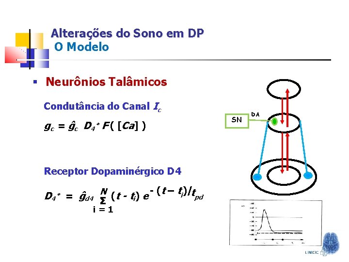 Alterações do Sono em DP O Modelo § Neurônios Talâmicos Condutância do Canal Ic