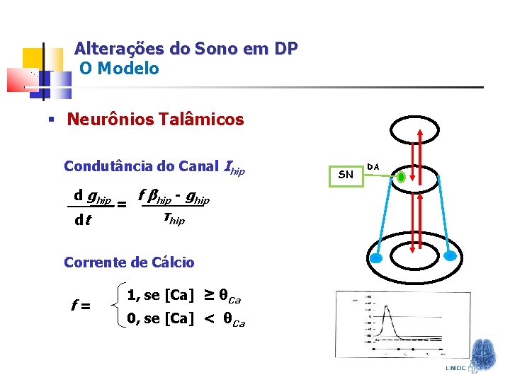 Alterações do Sono em DP O Modelo § Neurônios Talâmicos Condutância do Canal Ihip