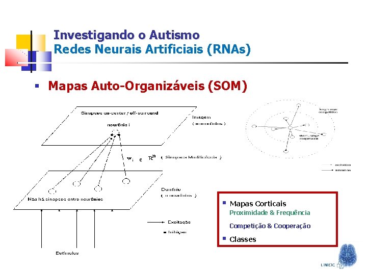 Investigando o Autismo Redes Neurais Artificiais (RNAs) § Mapas Auto-Organizáveis (SOM) § Mapas Corticais