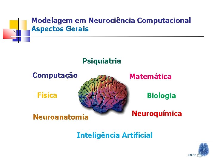 Modelagem em Neurociência Computacional Aspectos Gerais Psiquiatria Computação Física Matemática Biologia Neuroanatomia Neuroquímica Inteligência