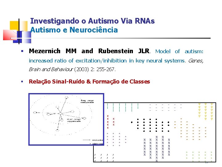 Investigando o Autismo Via RNAs Autismo e Neurociência § Mezernich MM and Rubenstein JLR.