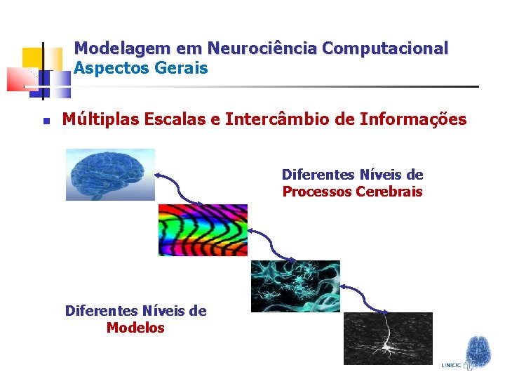 Modelagem em Neurociência Computacional Aspectos Gerais Múltiplas Escalas e Intercâmbio de Informações Diferentes Níveis