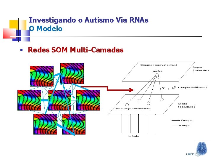 Investigando o Autismo Via RNAs O Modelo § Redes SOM Multi-Camadas 