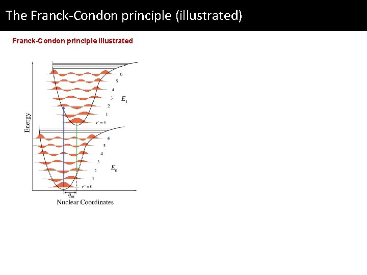 The Franck-Condon principle (illustrated) Franck-Condon principle illustrated 