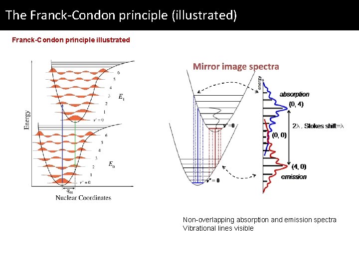 The Franck-Condon principle (illustrated) Franck-Condon principle illustrated Non-overlapping absorption and emission spectra Vibrational lines