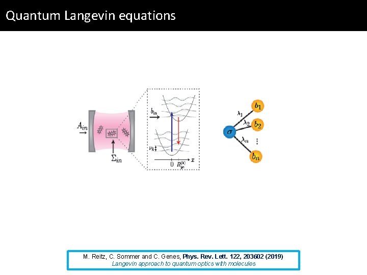 Quantum Langevin equations M. Reitz, C. Sommer and C. Genes, Phys. Rev. Lett. 122,