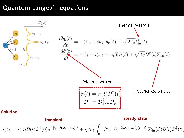 Quantum Langevin equations Thermal reservoir Polaron operator Input non-zero noise Solution transient steady state