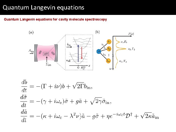 Quantum Langevin equations for cavity molecule spectroscopy 