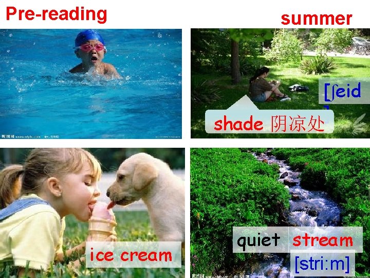 Pre-reading summer [ʃeid ] shade 阴凉处 ice cream quiet stream [stri: m] 