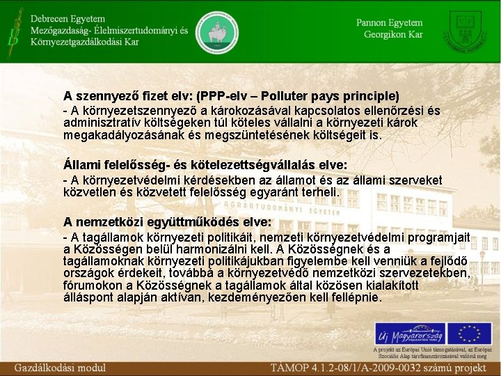 A szennyező fizet elv: (PPP-elv – Polluter pays principle) - A környezetszennyező a károkozásával