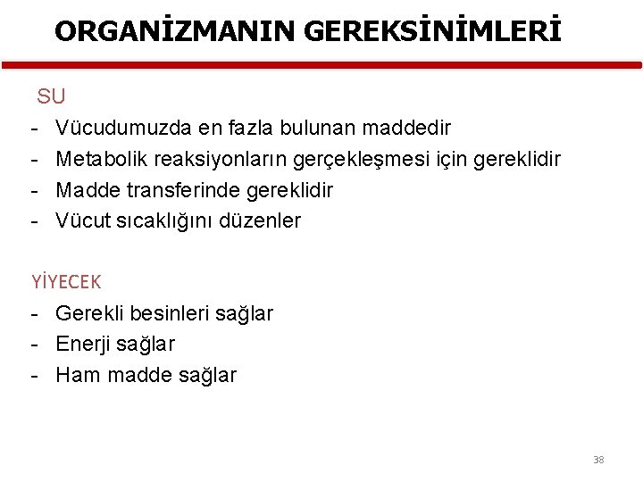 ORGANİZMANIN GEREKSİNİMLERİ SU Vücudumuzda en fazla bulunan maddedir Metabolik reaksiyonların gerçekleşmesi için gereklidir Madde