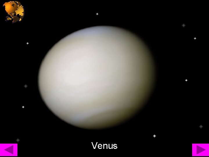 Venus 