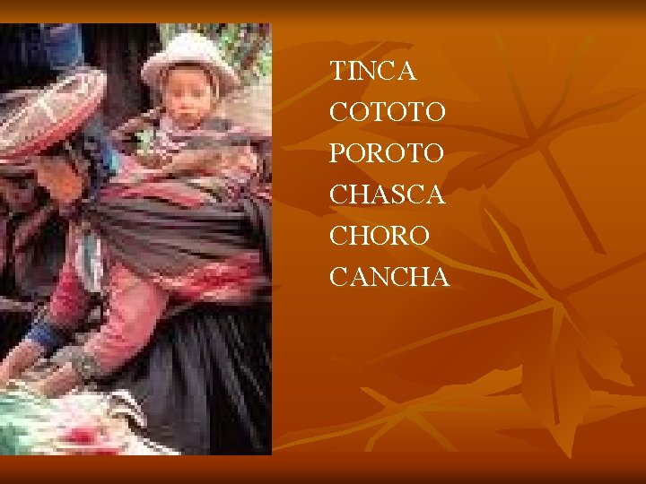 TINCA COTOTO POROTO CHASCA CHORO CANCHA 