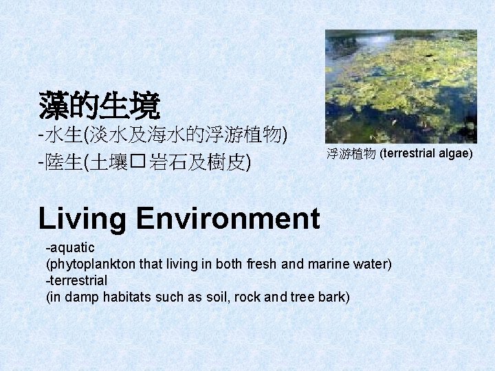藻的生境 -水生(淡水及海水的浮游植物) -陸生(土壤� 岩石及樹皮) 浮游植物 (terrestrial algae) Living Environment -aquatic (phytoplankton that living in