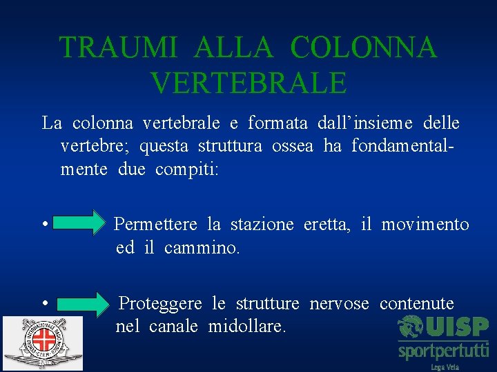 TRAUMI ALLA COLONNA VERTEBRALE La colonna vertebrale e formata dall’insieme delle vertebre; questa struttura