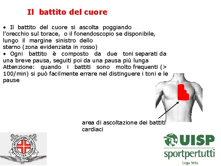 Il battito del cuore • Il battito del cuore si ascolta poggiando l'orecchio sul