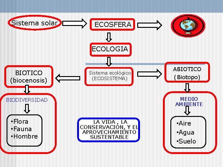 Sistema solar ECOSFERA ECOLOGIA BIOTICO (biocenosis) Sistema ecológico (ECOSISTEMA) MEDIO AMBIENTE BIODIVERSIDAD • Flora