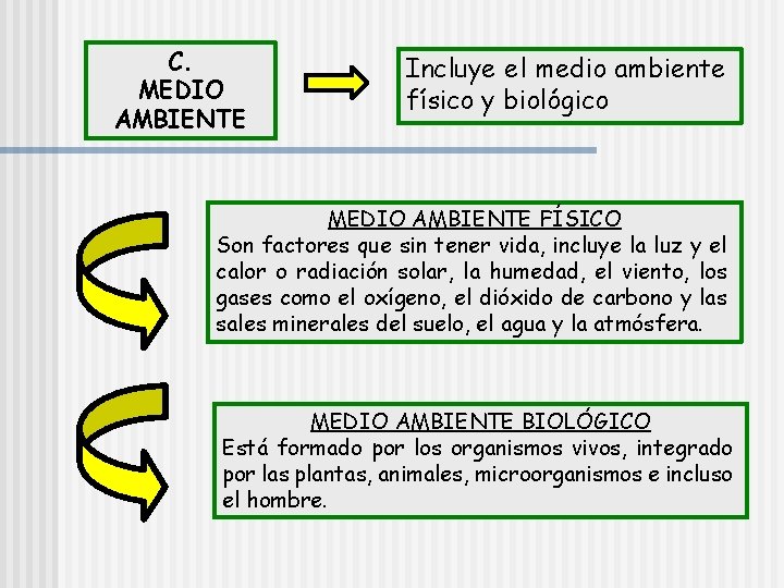 C. MEDIO AMBIENTE Incluye el medio ambiente físico y biológico MEDIO AMBIENTE FÍSICO Son