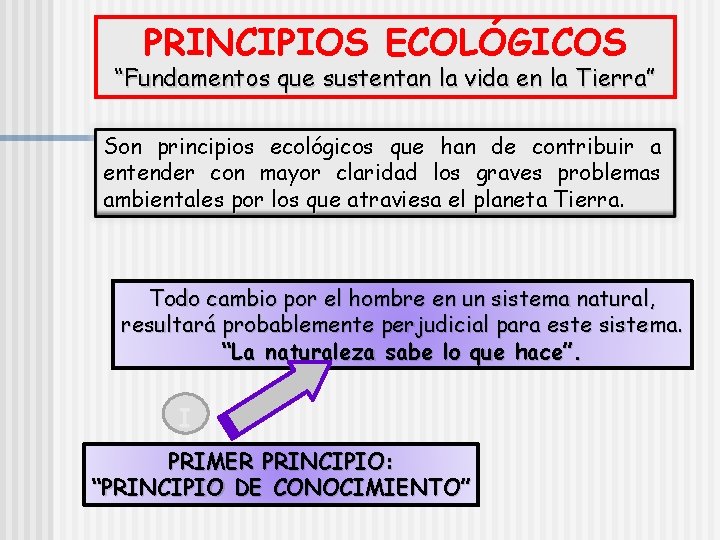 PRINCIPIOS ECOLÓGICOS “Fundamentos que sustentan la vida en la Tierra” Son principios ecológicos que