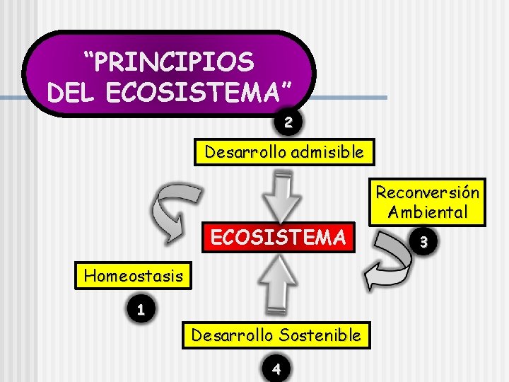 “PRINCIPIOS DEL ECOSISTEMA” 2 Desarrollo admisible ECOSISTEMA Homeostasis 1 Desarrollo Sostenible 4 Reconversión Ambiental