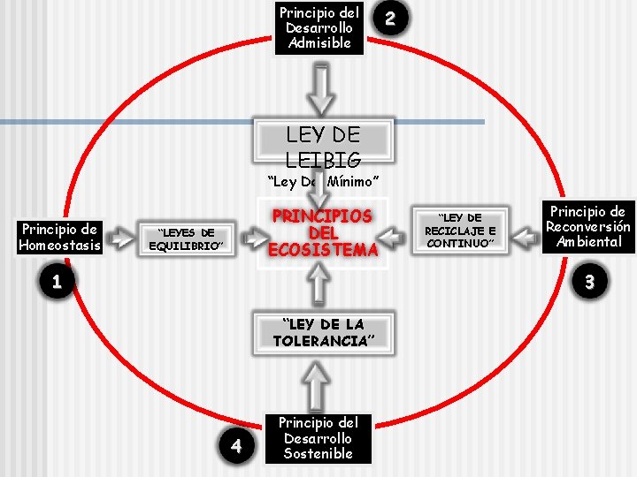 Principio del Desarrollo Admisible 2 LEY DE LEIBIG “Ley Del Mínimo” Principio de Homeostasis