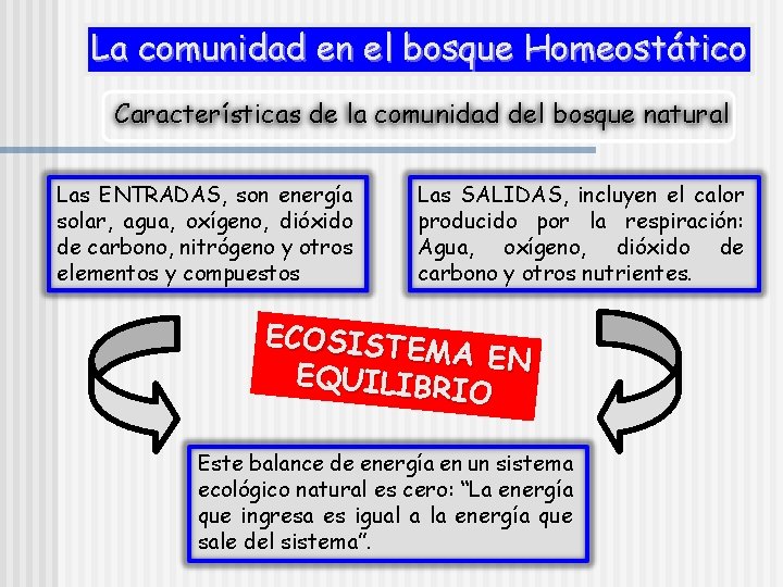 La comunidad en el bosque Homeostático Características de la comunidad del bosque natural Las