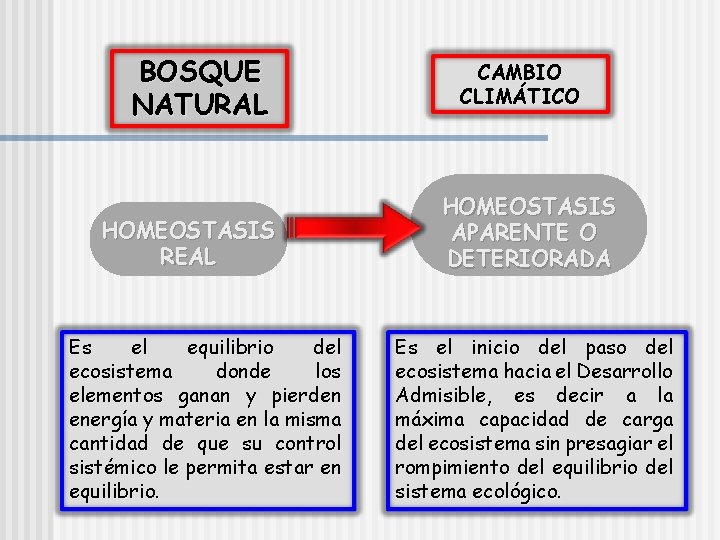 BOSQUE NATURAL HOMEOSTASIS REAL Es el equilibrio del ecosistema donde los elementos ganan y