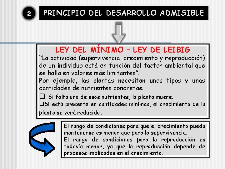 2 PRINCIPIO DEL DESARROLLO ADMISIBLE LEY DEL MÍNIMO – LEY DE LEIBIG “La actividad