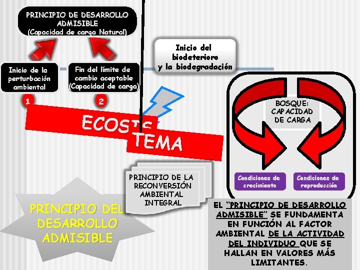 PRINCIPIO DE DESARROLLO ADMISIBLE (Capacidad de carga Natural) Inicio de la perturbación ambiental 1