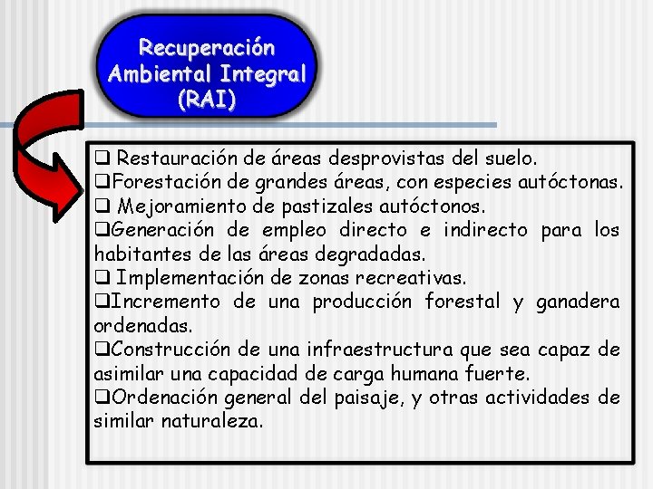 Recuperación Ambiental Integral (RAI) q Restauración de áreas desprovistas del suelo. q. Forestación de