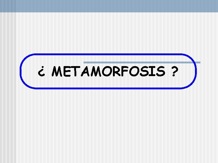 ¿ METAMORFOSIS ? 