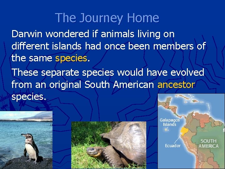 The Journey Home Darwin wondered if animals living on different islands had once been