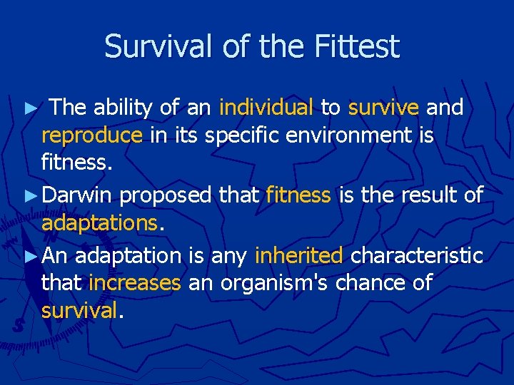 Survival of the Fittest ► The ability of an individual to survive and reproduce