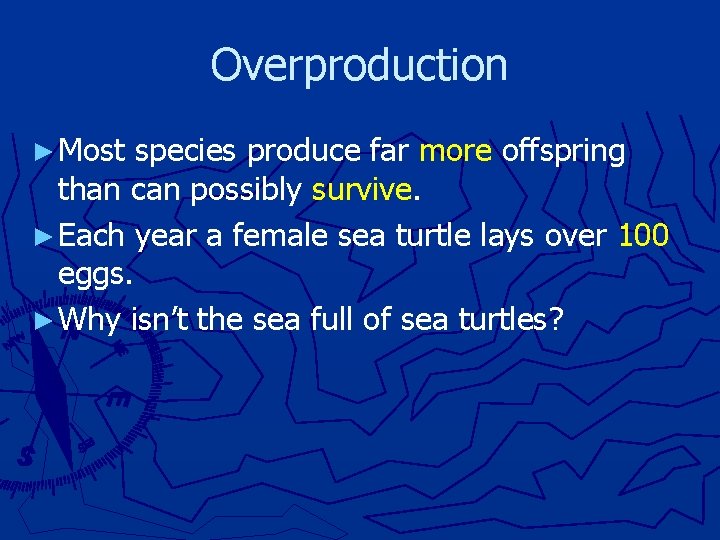 Overproduction ► Most species produce far more offspring than can possibly survive. ► Each