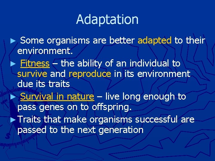 Adaptation ► Some organisms are better adapted to their environment. ► Fitness – the