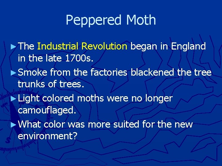 Peppered Moth ► The Industrial Revolution began in England in the late 1700 s.