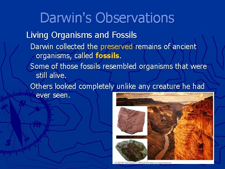 Darwin's Observations Living Organisms and Fossils Darwin collected the preserved remains of ancient organisms,