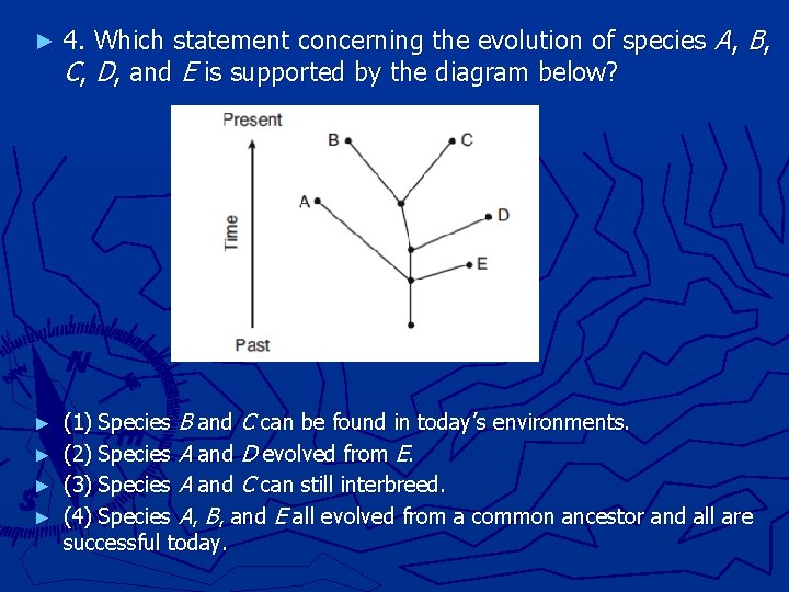 ► 4. Which statement concerning the evolution of species A, B, C, D, and ► 4. Which statement concerning the evolution of species A, B, C, D, and