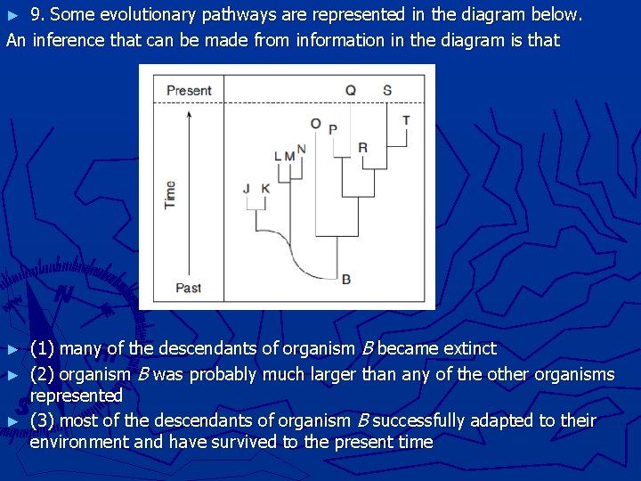 9. Some evolutionary pathways are represented in the diagram below. An inference that can