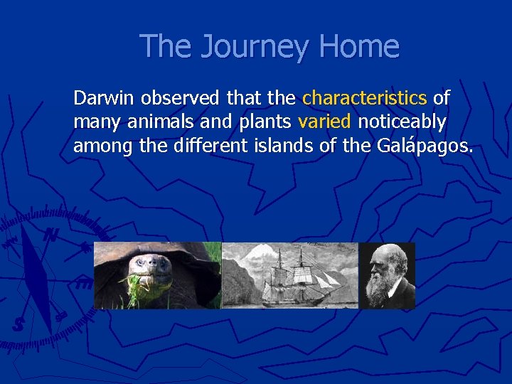 The Journey Home Darwin observed that the characteristics of many animals and plants varied