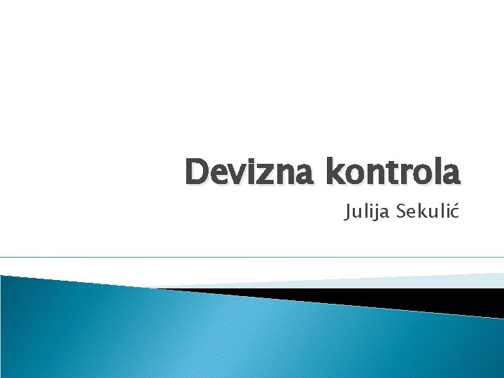 Devizna kontrola Julija Sekulić 